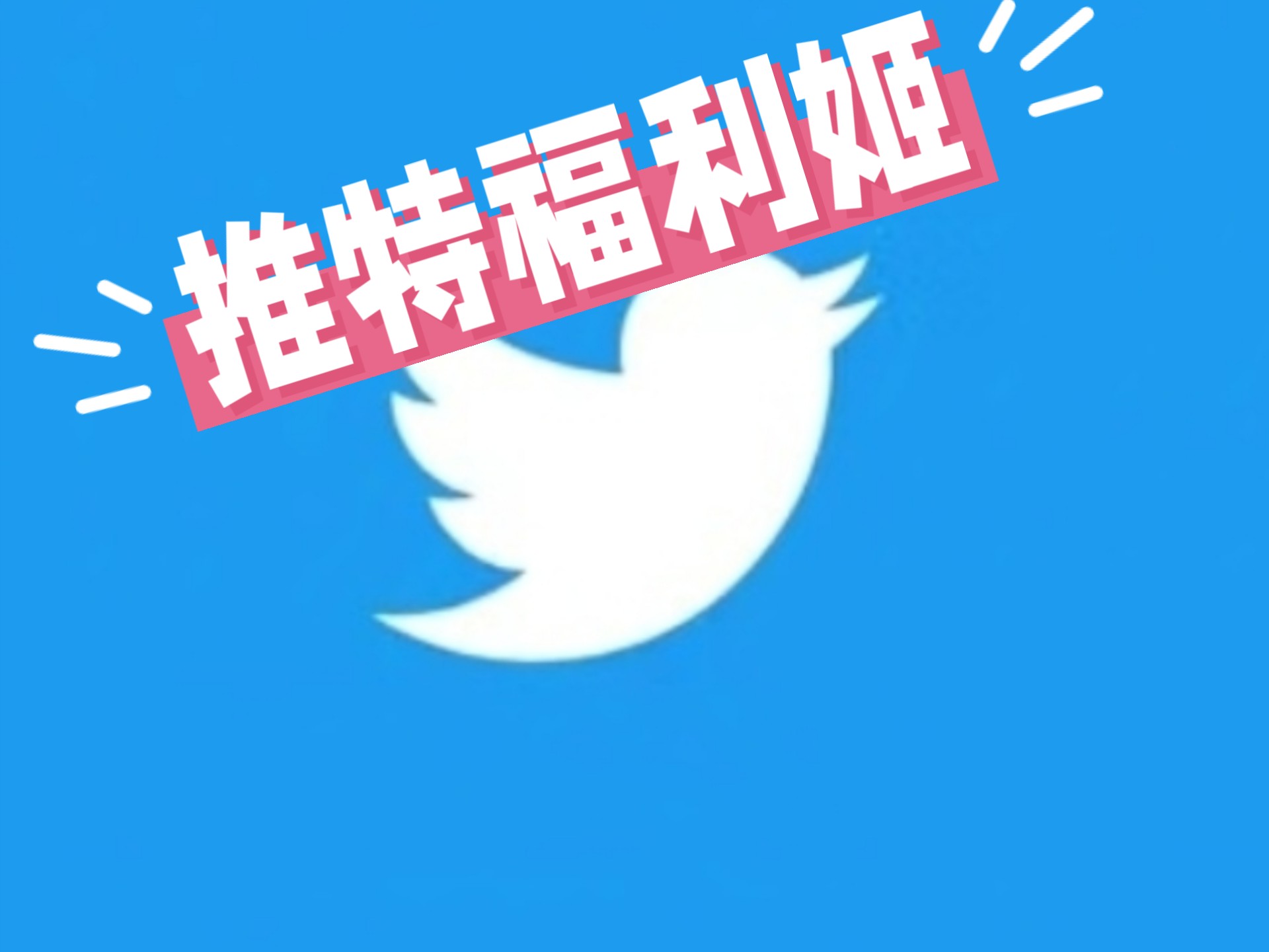 科普展现:推特用户名（推特用户名怎么查）