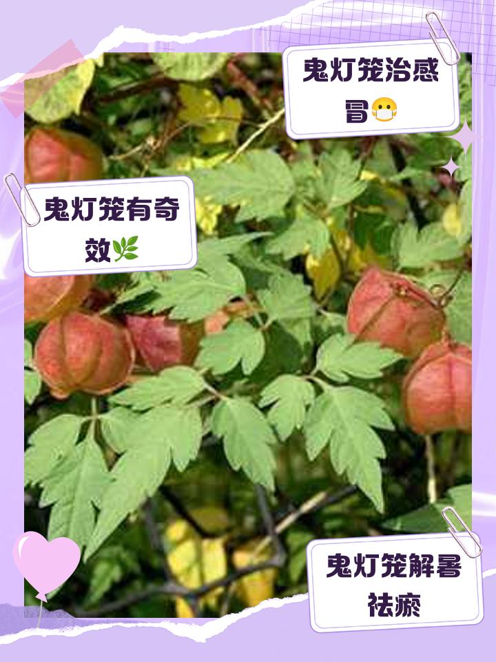 科普展现:灯笼风水作用（灯笼好不好）