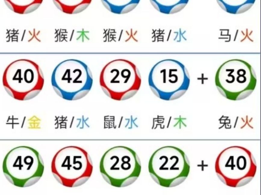 995澳门论坛六肖资料全年