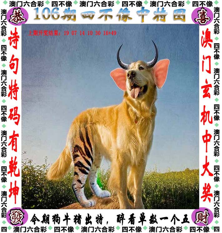 聚彩论坛免费资料大全最新