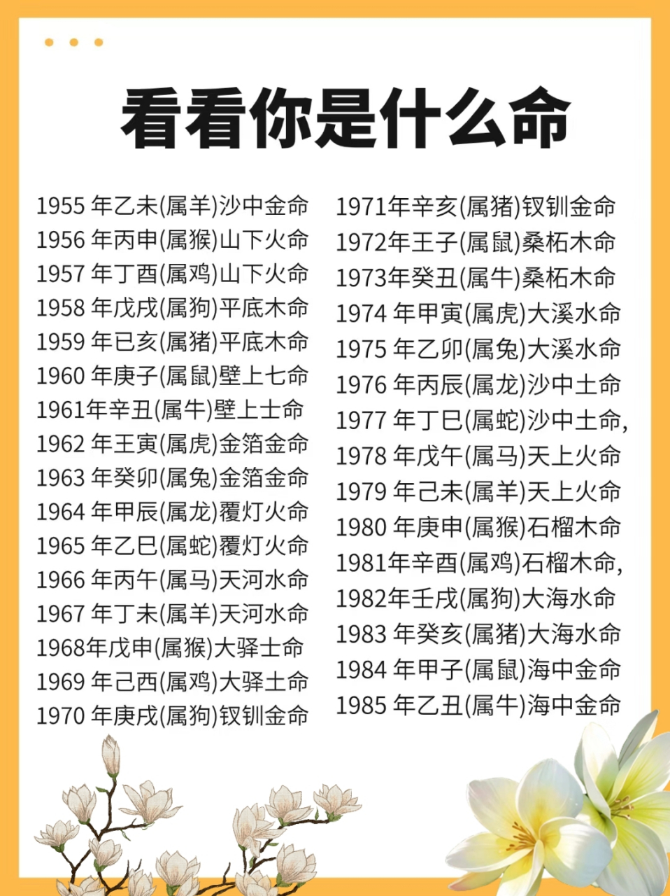 科普展现:81年什么命（81年是什么命年）