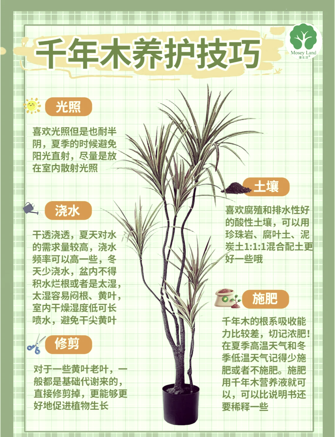 千年木摆放禁忌