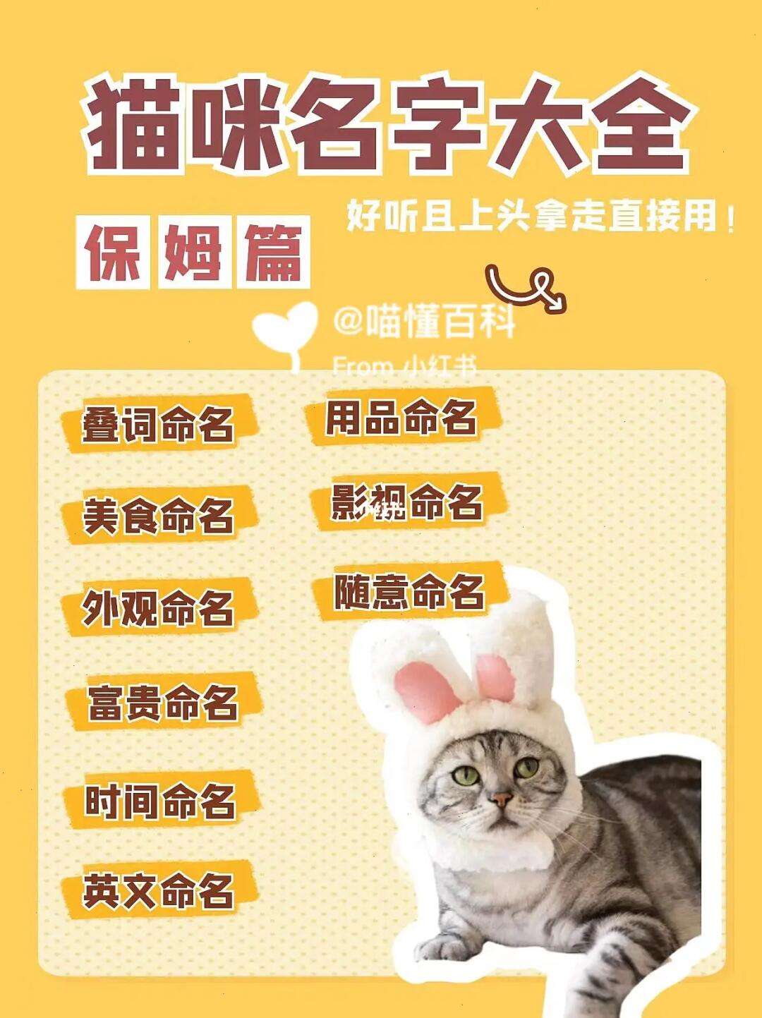 科普展现:好听宠物名（好听宠物名英文）