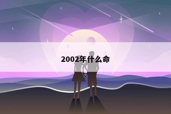 2002年什么命