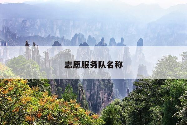 志愿服务队名称