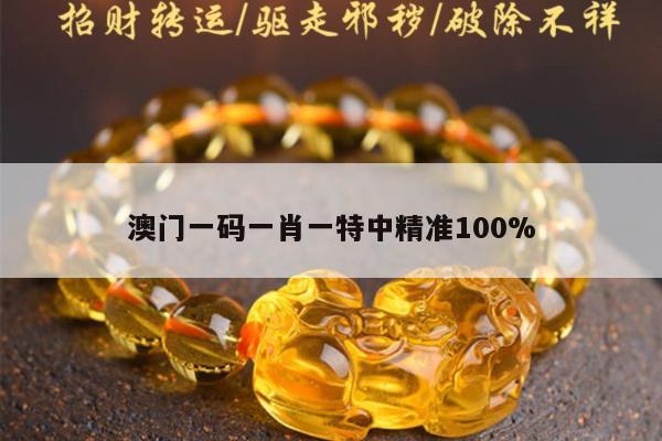 澳门一码一肖一特中精准100%
