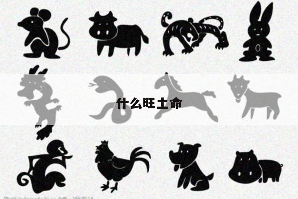 什么旺土命