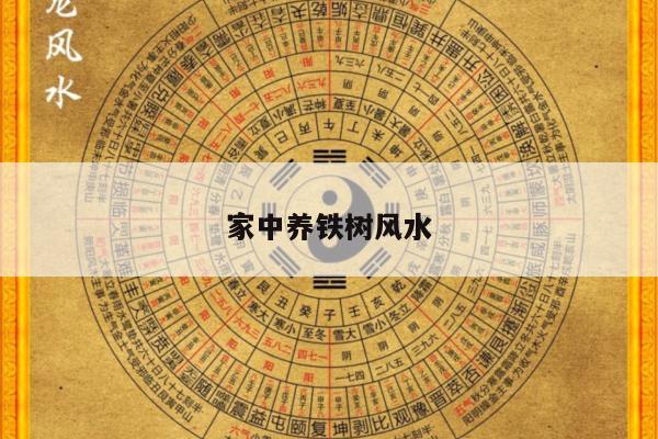 家中养铁树风水