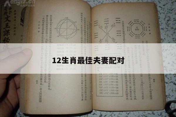 12生肖最佳夫妻配对