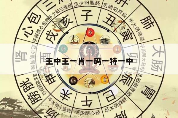 王中王一肖一码一特一中