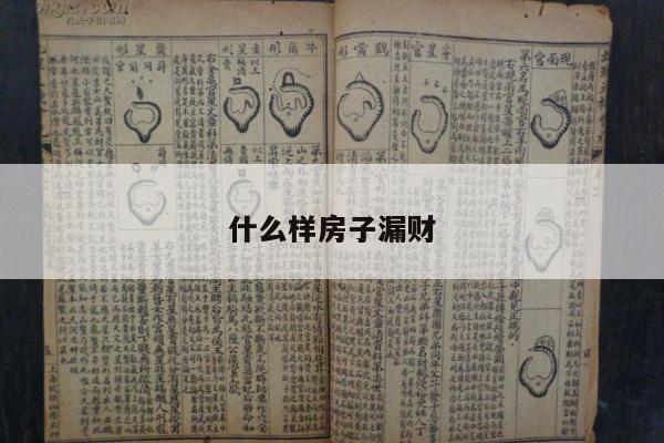 什么样房子漏财