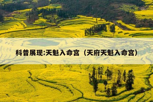 科普展现:天魁入命宫（天府天魁入命宫）