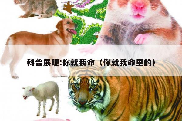 科普展现:你就我命（你就我命里的）