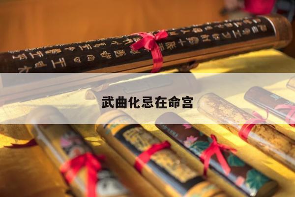 武曲化忌在命宫