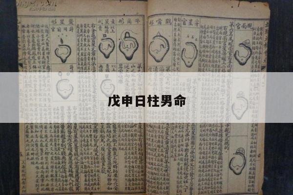 戊申日柱男命