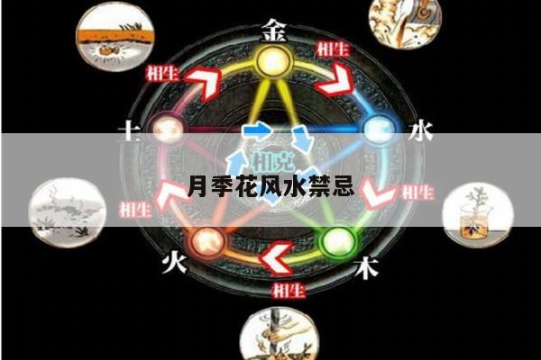 月季花风水禁忌