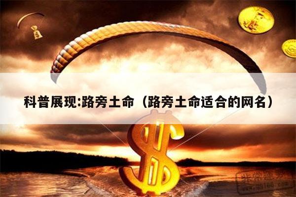科普展现:路旁土命（路旁土命适合的网名）