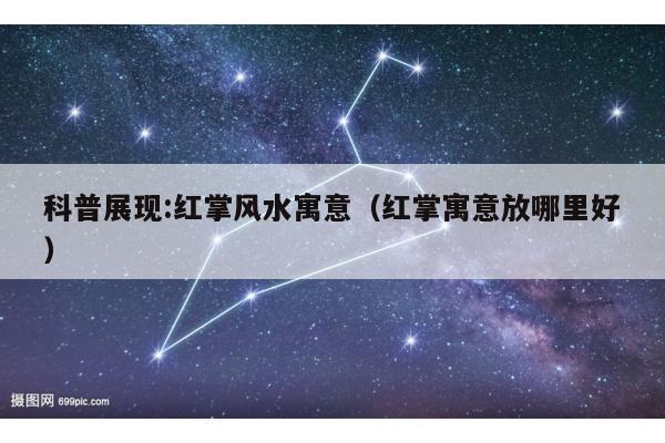 科普展现:红掌风水寓意（红掌寓意放哪里好）