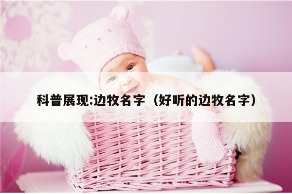 科普展现:边牧名字（好听的边牧名字）