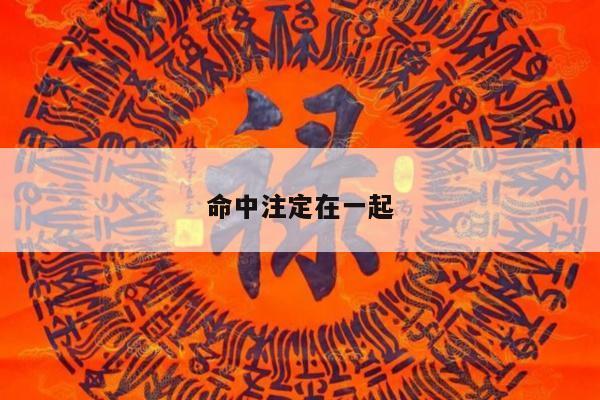 命中注定在一起
