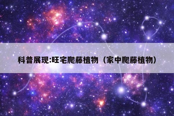 科普展现:旺宅爬藤植物（家中爬藤植物）