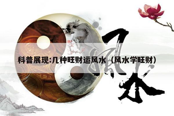 科普展现:几种旺财运风水（风水学旺财）