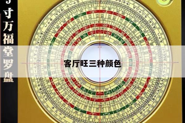 客厅旺三种颜色