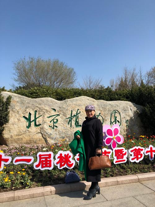 澳门2023精准一肖一码马兰,澳门2023精准一肖一码马兰花开