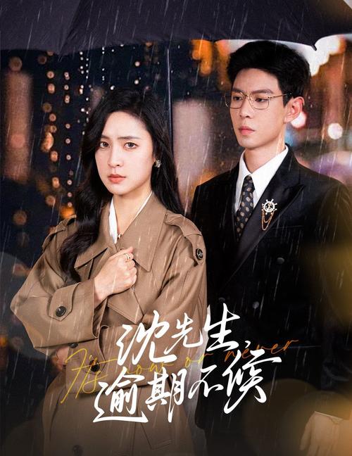 法律至上1在线观看免费高清完整版,法律至上电视剧简介