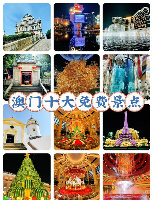 老澳澳门资料大全免费,老澳门彩